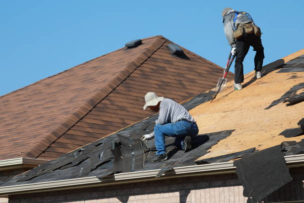 Best Skylight Installation and Repair  in Lansdowne, PA